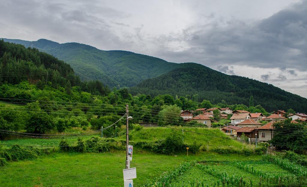 Guest House Joji Sapareva Banja Rom bilde
